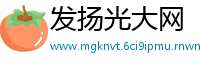 发扬光大网